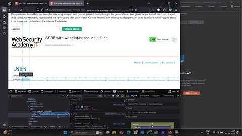 SSRF with whitelist-based input filter|Portswigeer lab 🧪