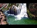Soothing Mountain Waterfall and River. Relaxing Nature Sounds. (10 Hours). White Noise for Sleeping.