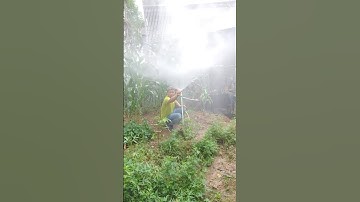 Vòi tưới phun sương vặn chỉnh bán kính tưới cây