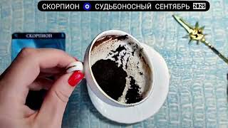 видео: 🧿 СКОРПИОН СЕНТЯБРЬ 2025 СУДЬБОНОСНЫЕ ПЕРЕМЕНЫ Что ждёт Чем судьба порадует Гадание на кофейной гуще картинка: 🧿 СКОРПИОН СЕНТЯБРЬ 2025 СУДЬБОНОСНЫЕ ПЕРЕМЕНЫ Что ждёт Чем судьба порадует Гадание на кофейной гуще