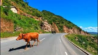 Ilay tany niaviako - Feo gasy 🇲🇬