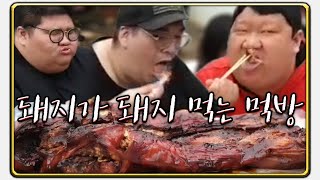 빅죠310Kg 빅현배250Kg 엄삼용165Kg 통돼지1마리먹방