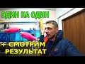 Новая методика разведения Данио - Один на Один -