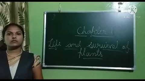 Dalauda Public School Class 4th  science chapter 1(Revision) video by Bindu Tiwari