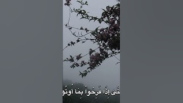 #ايات_قرانيه_قصيره #ايات_القرآن_الكريم #القرآن_الكريم #تلاوات #تلاوة_هادئة