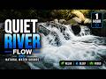 Quiet River Flow 🌿💧 Soft Water Sounds for Deep Relaxation, Sleep & Inner Calm (1 Hour)