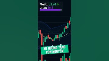 Phân tích CỔ PHIẾU NTL | Công ty CP Phát triển Đô thị Từ Liêm | Chứng khoán hôm nay | VNINDEX