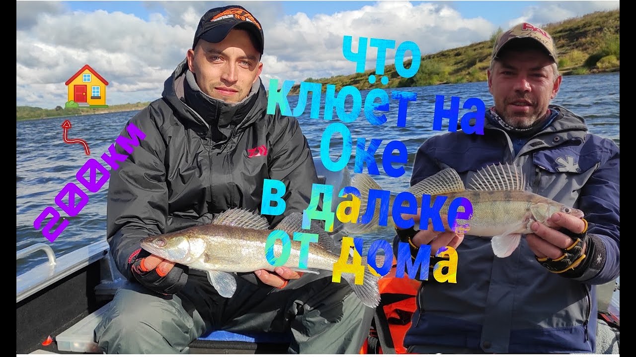 Поселок дали на оке