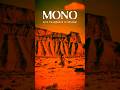 MONO's special concert film is now available for the first time worldwide via Vimeo OTT rental.