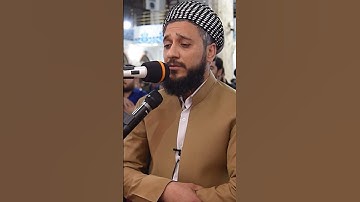تلاوة جميلة لما تيسر من سورة الزخرف بصوت القارئ مصطفى فاروق الكردي