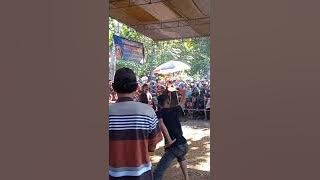 REOG NDANDI MAIN API#shorts