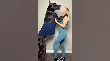 Hot Girl With Dog Viral Reels | New Instagram Reels #youtubeshorts