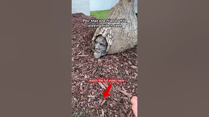 😂😂
