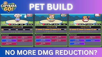 Capybara Go! Guide: Pet Build goes FULL DAMAGE?