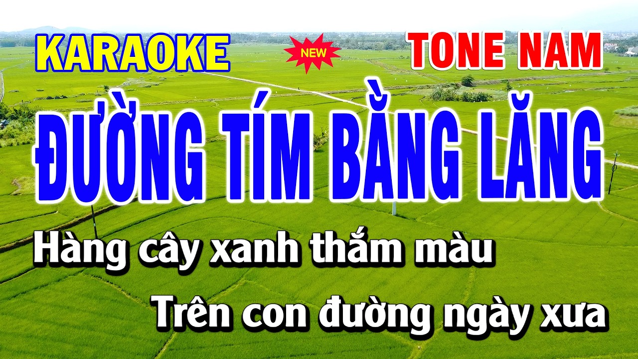🎤 Đường Tím Bằng Lăng  - Karaoke Tone Nam | Beat Hay 🎶 | Bạch Duy Sơn