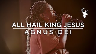 Video thumbnail of "All Hail King Jesus + Agnus Dei - Rheva Henry | Moment"