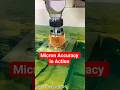 The Future of Mold Making: 5-Axis Mirror EDM for Precision Threaded Components#cncsoftware #shorts