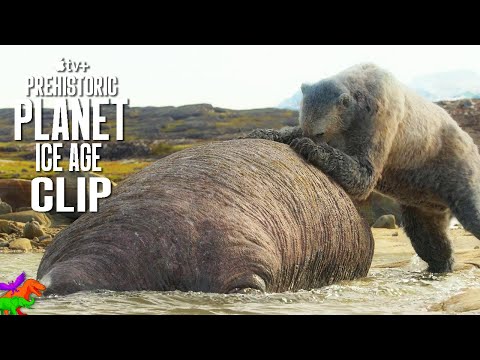 Stellar S Sea Cow Vs Short Faced Bear Prehistoric Planet Ice Age OFFICIAL CLIP