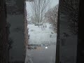 Snowstorm - November 28, 2025