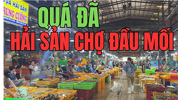 BÁO GIÁ HẢI SẢN TẤT TẦN TẬT 11/3||CHỢ HẢI SẢN ĐẦU MỐI BÌNH ĐIỀN||MUA HẢI SẢN Ở ĐÂU NHIỀU LOẠI VÀ RẺ