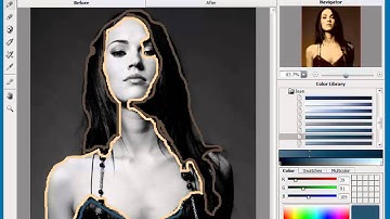 AKVIS Coloriage demonstration