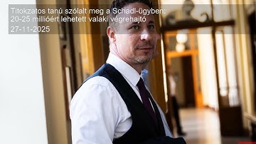 Titokzatos tanú szólalt meg a Schadl-ügyben: 20-25 millióért lehetett valaki végrehajtó