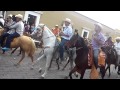 Caballos desfile en El Fuerte Sinaloa