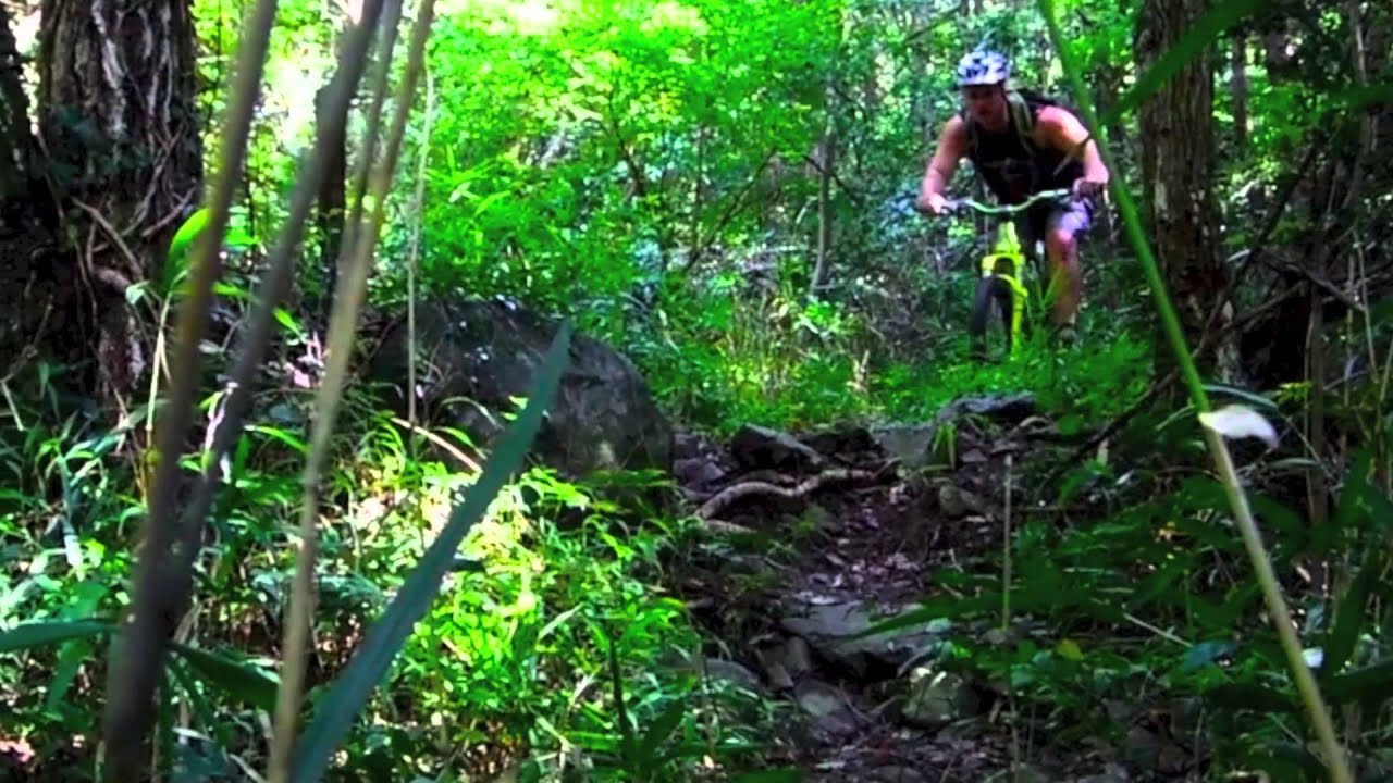 DaBomb Revolution DaBomb Revolution Hike-n-RideOn!