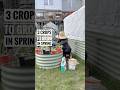 3 Crops to Grow in Spring