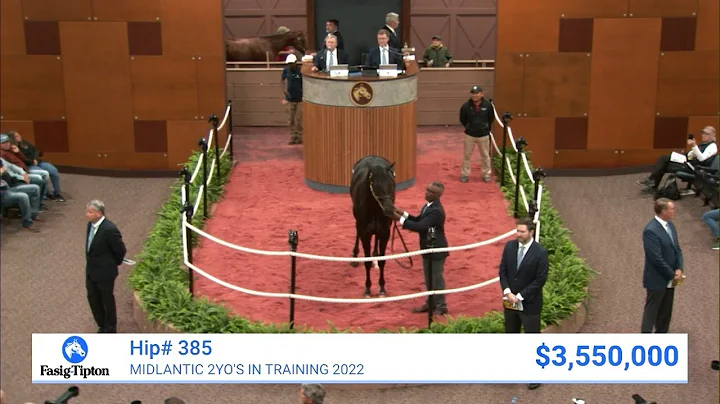Bernardini colt sells for RECORD $3,550,000 at Midlantic Two-Year-Olds in Training (2022)