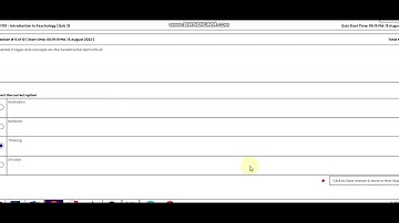 PSY101 QUIZ 3 SOLUTION // PSY101 QUIZ NO 3 SOLUTION 2022 BY KNIGHT RIDER