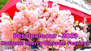 Petalpalooza 2023 🎤- National Cherry Blossom Festival