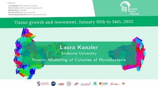 Kinetic Modelling of Colonies of Myxobacteria