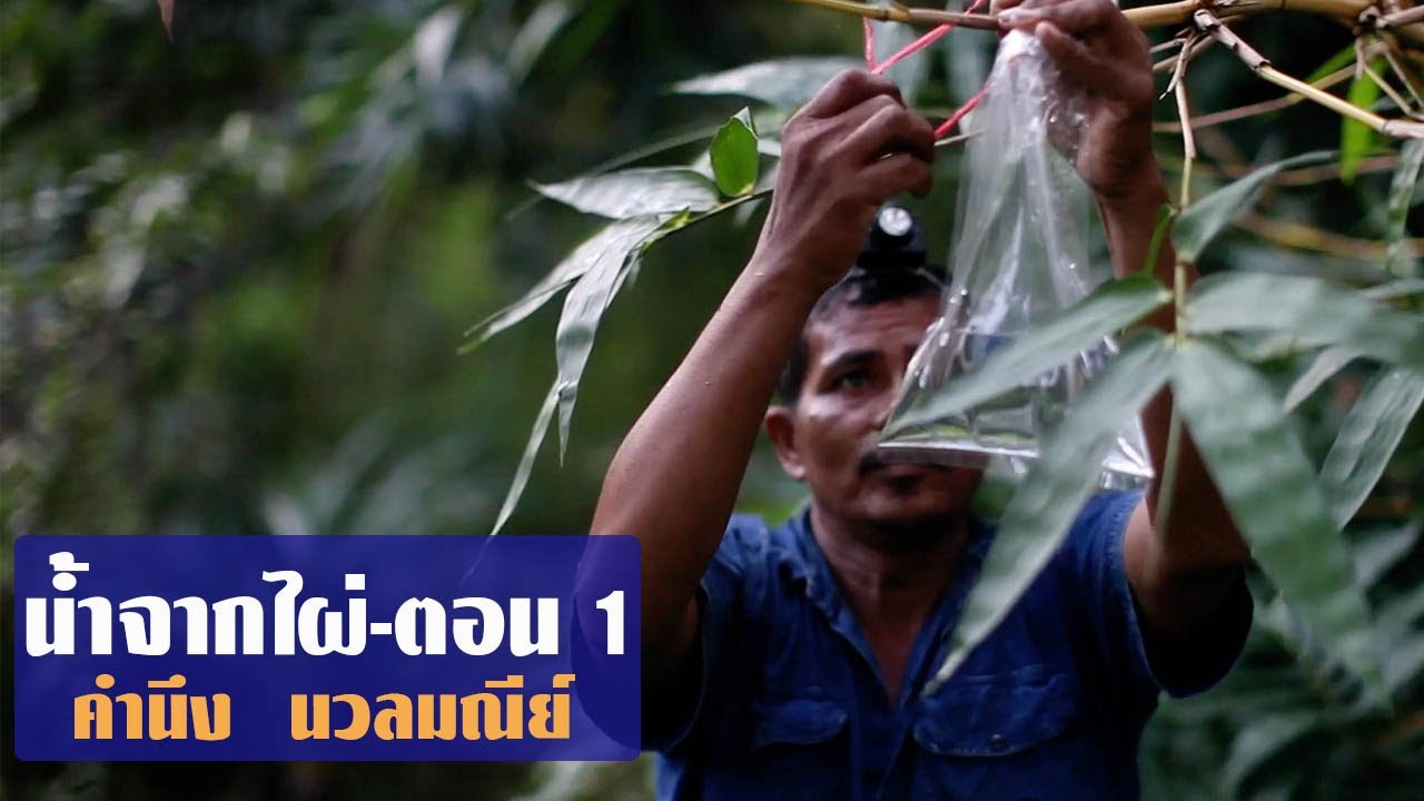 น้ำไผ่(ตอน1) โดยคำนึง นวลมณีย์