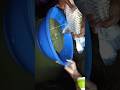2026 Fish Farming Worldwide Big Catch Action Breeding Moments Fish Viral 2026 