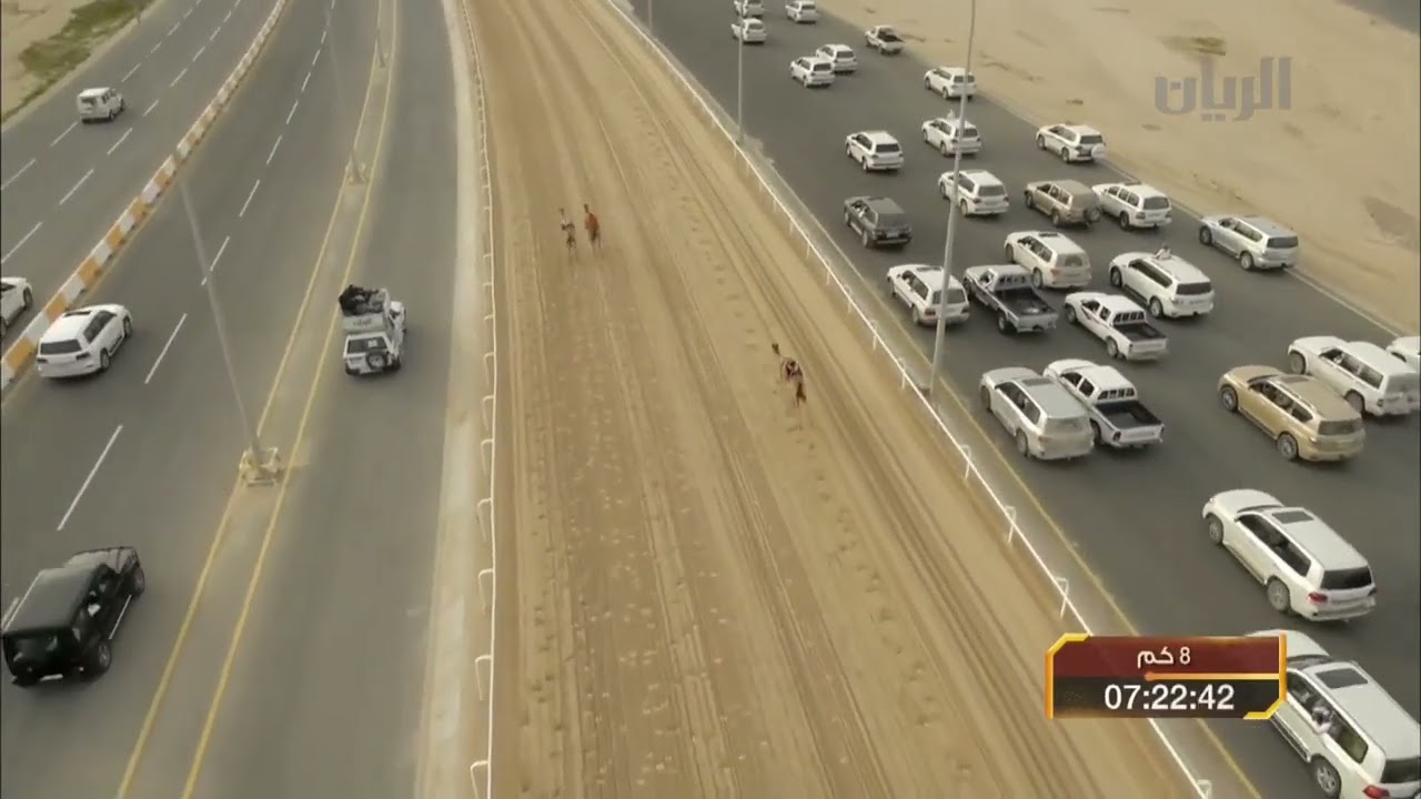 سباق أمير البلاد المفدى للهجن العربية الأصيلة   حيل   الشوط الثالث  29 01 2014