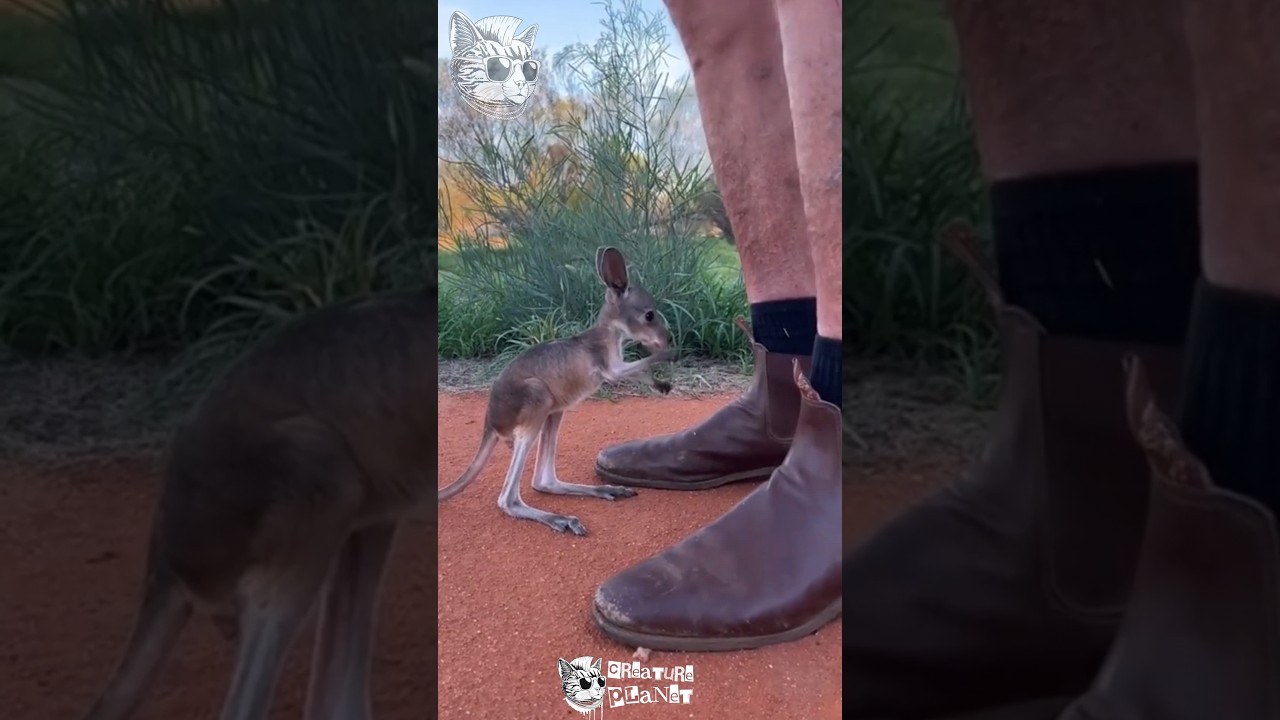 How cool to see these bad boys  evaluation 😍 