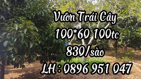 Nợ nần tùm lum không lo bán Ngân Hàng lấy đất Vườn trái cây quá đẹp tại Xà Bang nghĩ dưỡng quá tuyệt