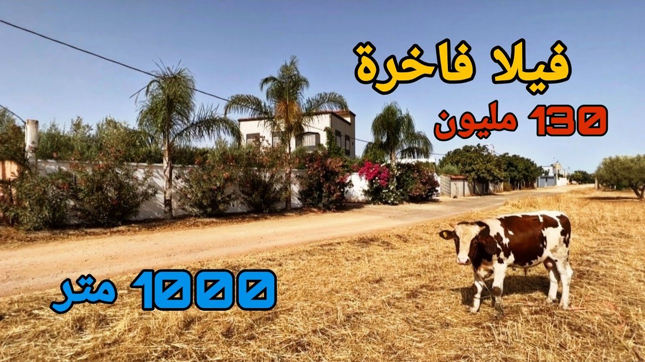 فيلا فاخرة وسط الطبيعة 🌳مساحة 1000 متر 💯 مسبح بئر أشجار مثمرة 🌳 قرب المدينة💯مسجلة ومحفضة 🌟 130 مليون