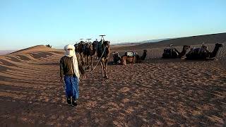 Zagora Desert Camp