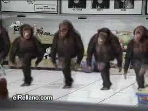 monos bailando