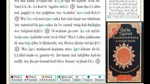ختمة من مصحف التجويد باللغة الألمانية الصفحة رقم 254