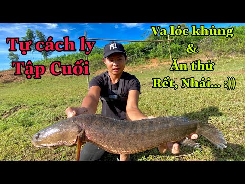 Tự Cách Ly - Va Lóc Khủng. Ăn Thử Nhái, Rết...( tập cuối )