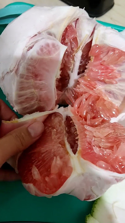 Buah jeruk buah kedondong, hei kamu jangan suka bohong dong! #buahjerukbali #pantun #pantunngeselin