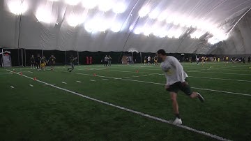 3. Star Drill DB Backpedal to Sprint reactive