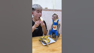 baby monkey NaNa: I