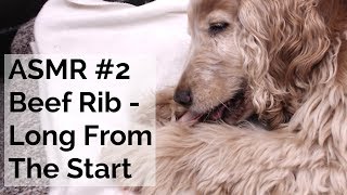 ASMR #2 Dog eating Raw Bone, Eating Sounds, No Talking, Long