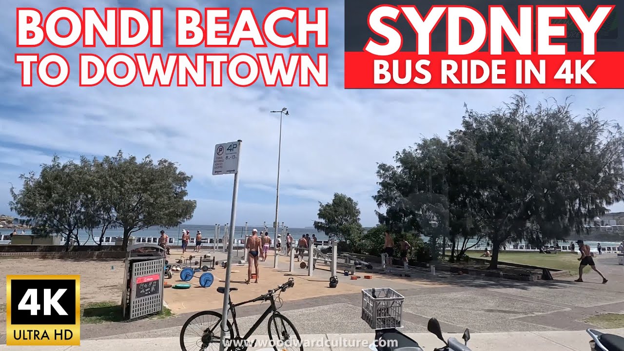 333 Bus Route Bondi To City