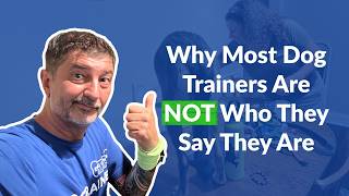 Car Talks with Turk Ep. 3 | Why Not All Dog Trainers Are Created Equal