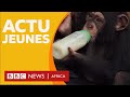 Bbc actu jeunes  mission spciale animaux